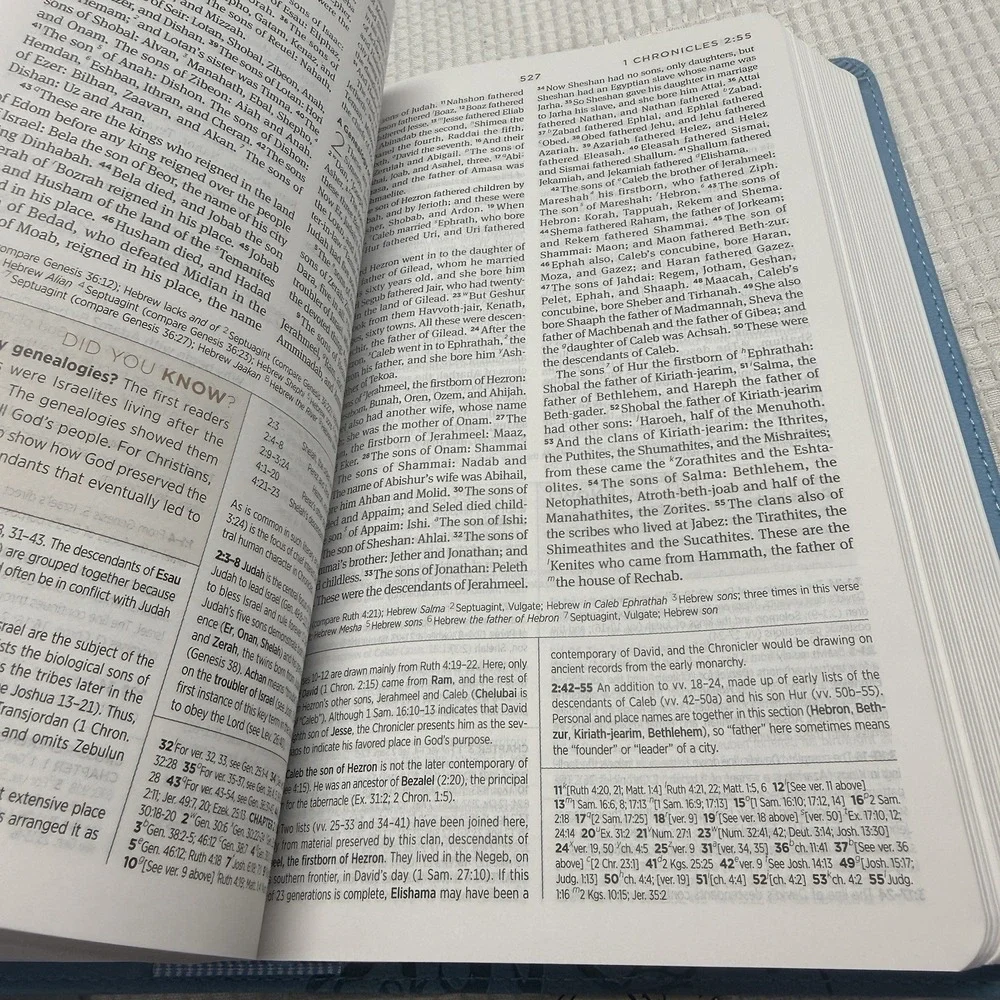 ESV Holy Bible Student Study Bible Sky Blue Ivy Design Imitation Leather New